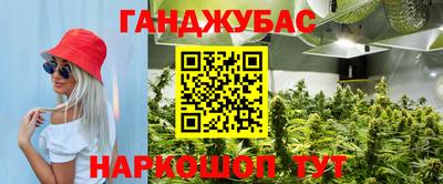 спиды Донской
