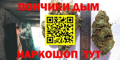 спиды Донской