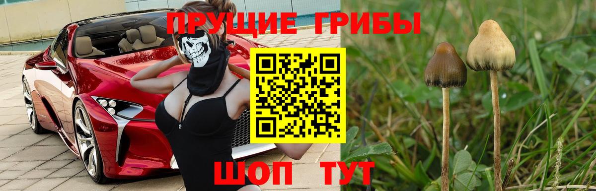 Галлюциногенные грибы MAGIC MUSHROOMS  Вход с VPN  Можайск 